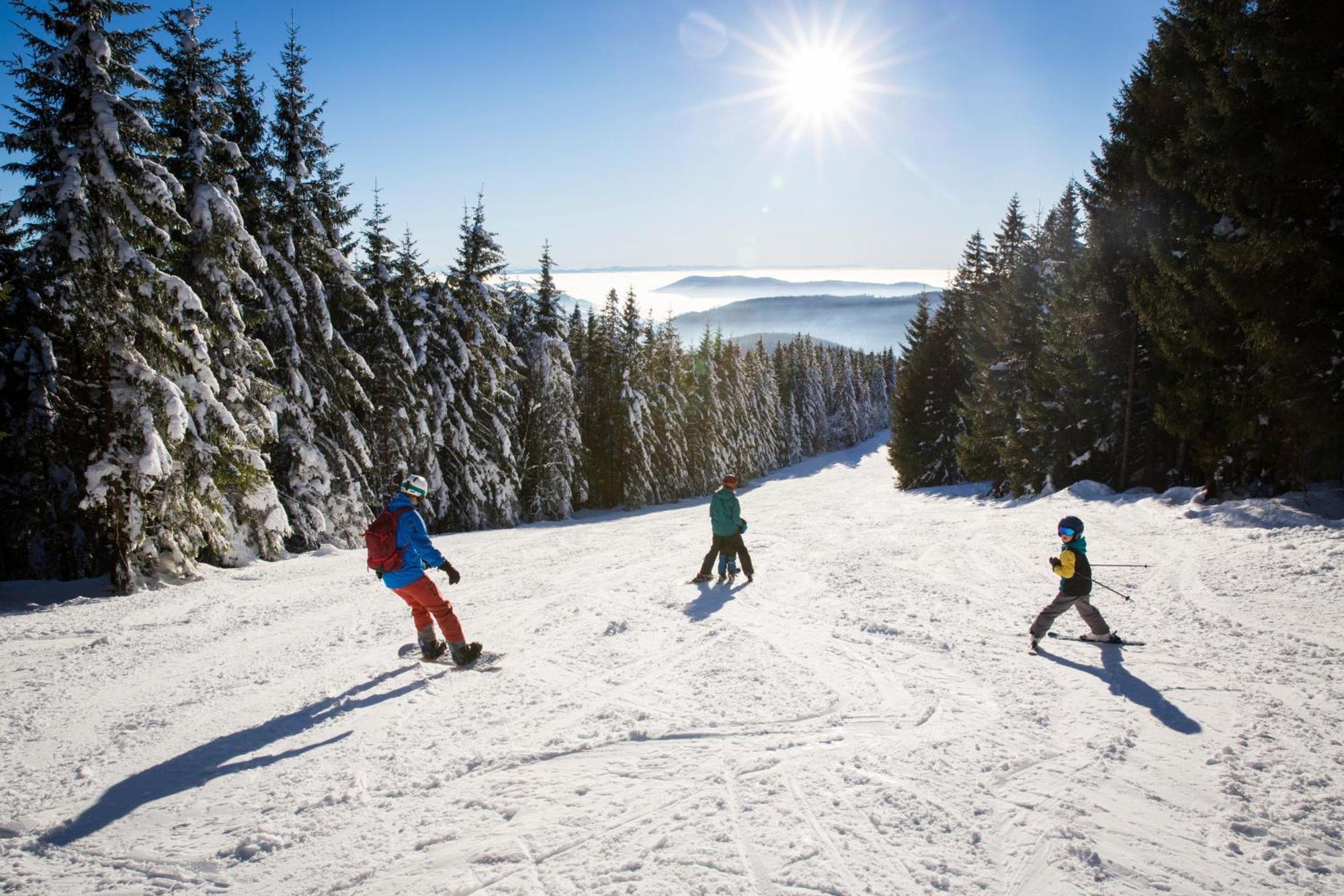 Haus Wiesenquelle - Fewo 14 "Timeout", Feldberg Rinken Esterno foto